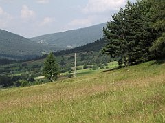 238_IMG_x40911_cr