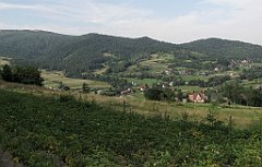 607_IMG_x41378_cr