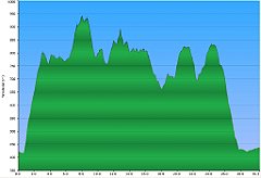 000_2013_08_02w_Brenna_Salmopol