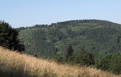 050_IMG_x42730_cr