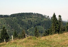 145_IMG_x42852_cr