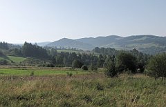 100_IMG_x43340_cr
