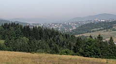 164_IMG_x43417_cr