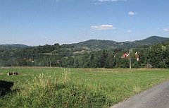 IMG_x44173_cr