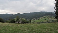 240_IMG_x45189_cr