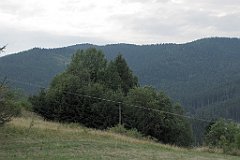 241_IMG_x45190_cr
