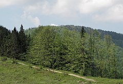 122_IMG_x45906_cr
