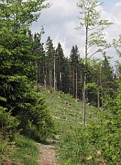 162_IMG_x45952_cr