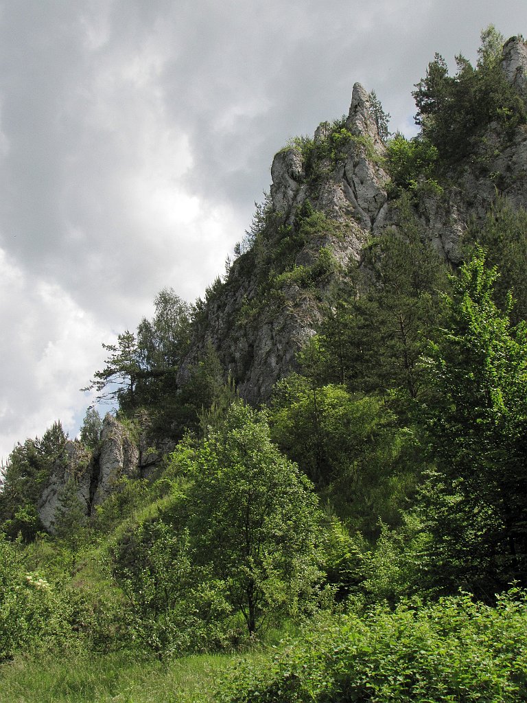 136_IMG_x46162_cr.jpg