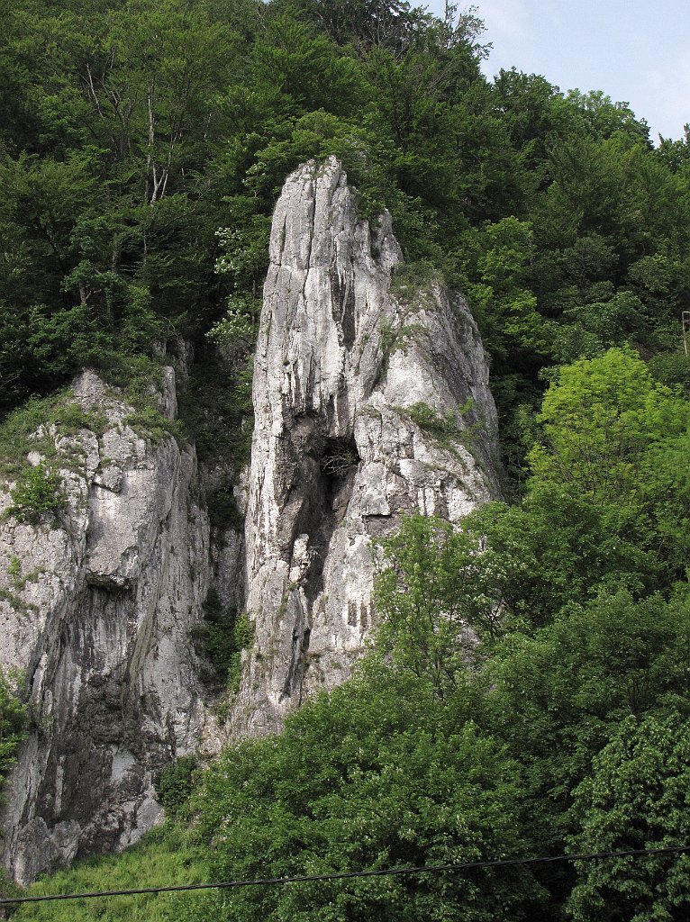 351_IMG_x46393_cr.jpg