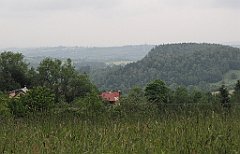 065_IMG_x46456_cr