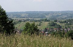 299_IMG_x46842_cr