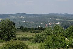 321_IMG_x46870_cr