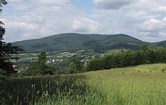 060_IMG_x47553_cr