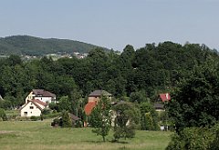 311_IMG_x47873_cr