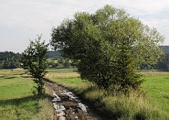080_IMG_x49195_cr