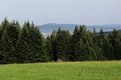 084_IMG_x49199_cr