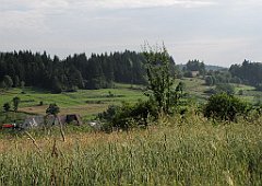 094_IMG_x49212_cr