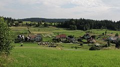 100_IMG_x49220_cr