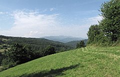 176_IMG_x49318_cr