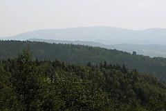 200_IMG_x49342_cr
