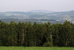 111_IMG_x50632_cr
