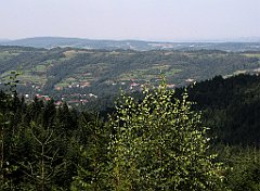 209_IMG_x50744_cr