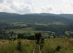 220_IMG_x50761_cr
