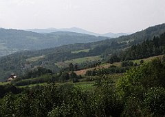 230_IMG_x50778_cr