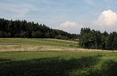 349_IMG_x50923_cr