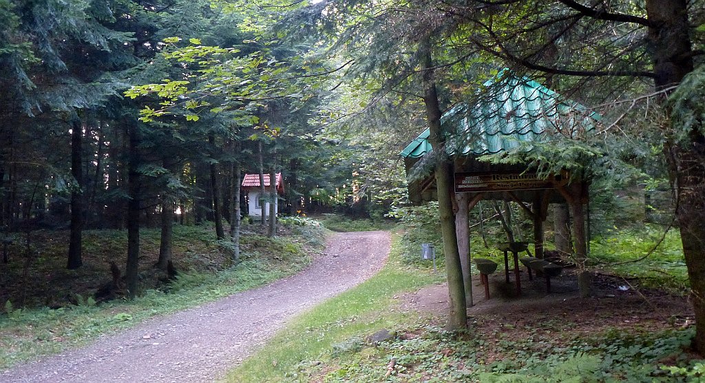 446_3D_P1040036_cr.jpg