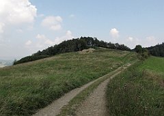 182_IMG_x51165_cr