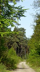 018_TZ60_P1010883_cr