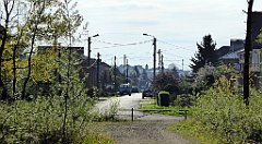 019_TZ60_P1010884_cr