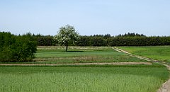 075_TZ60_P1010953_cr