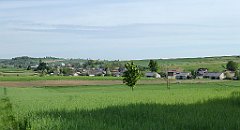 080_TZ60_P1010960_cr