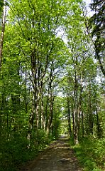 096_TZ60_P1010977_cr