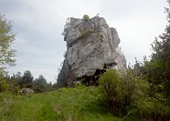 132_A808_IMG_20150509_113915_cr