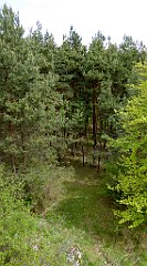 144_TZ60_P1010999_cr