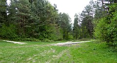 161_TZ60_P1020018_cr