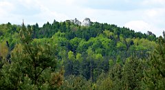 168_TZ60_P1020025_cr