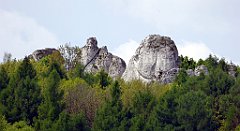 169_TZ60_P1020026_cr