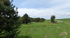 171_TZ60_P1020028_cr