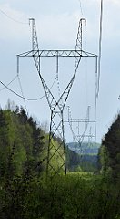 205_TZ60_P1020060_cr