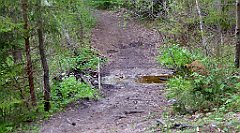 207_TZ60_P1020062_cr