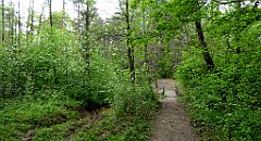 208_TZ60_P1020063_cr