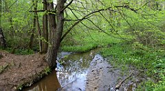 212_TZ60_P1020067_cr