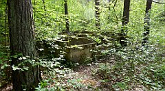 213_TZ60_P1020068_cr