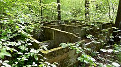 214_TZ60_P1020069_cr