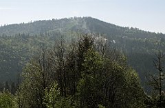 043_IMG_x51731_cr